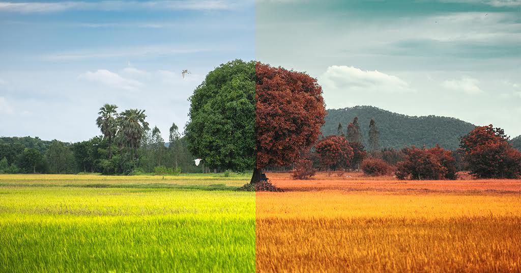 A landscape is divided into two halves, one side shows lush green fields and a bright sky, symbolizing spring/summer, while the other features orange hues and dry fields, representing autumn.