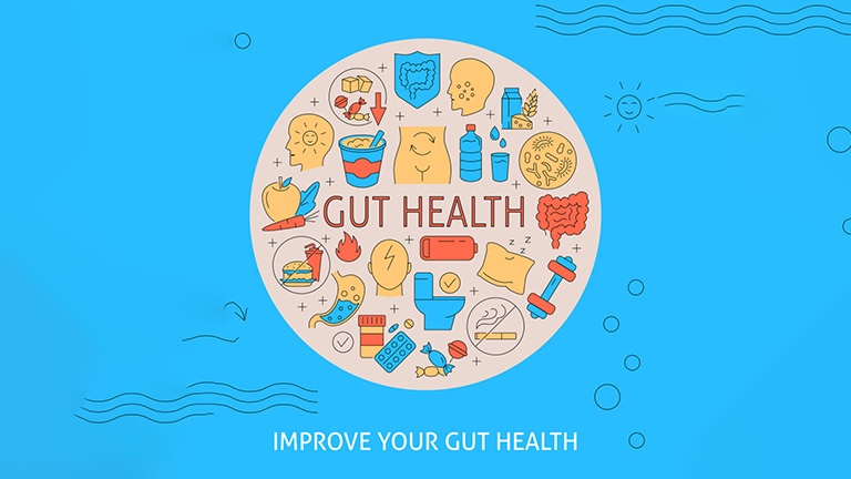 An image showcasing overall gut health with a 1 line saying “Improve your gut health”