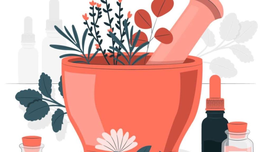 Nature’s Remedy for Stress Healing Power of Adaptogens
